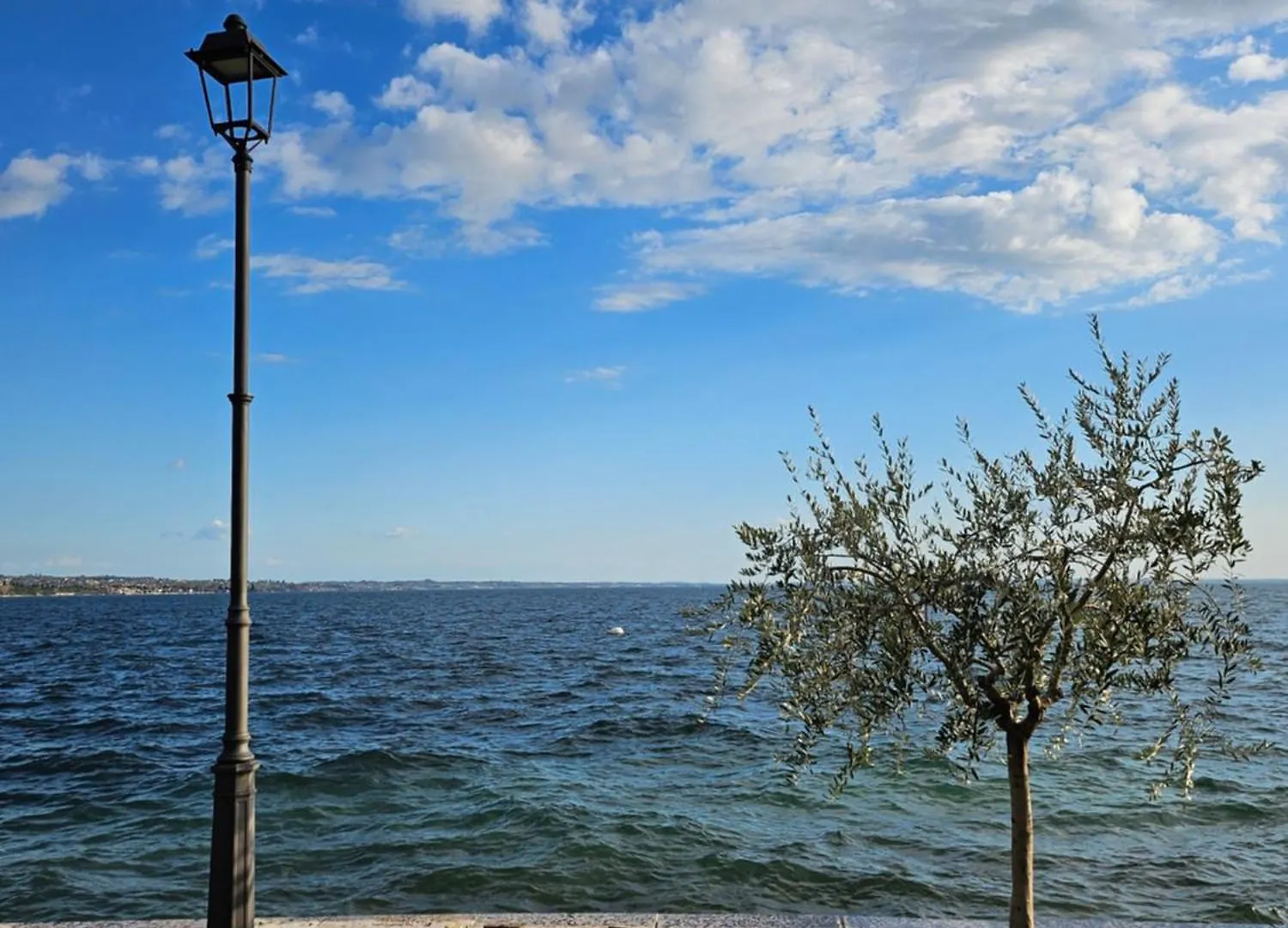 Dani'S Lakeside Apartment In Euroresidence Γκάρντα Ιταλία